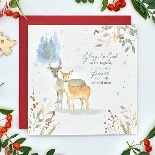 Winter Deer Pack of 5 Christmas Cards