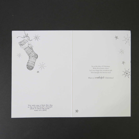 To My Sister and Brother-in-law Relation Christmas Card