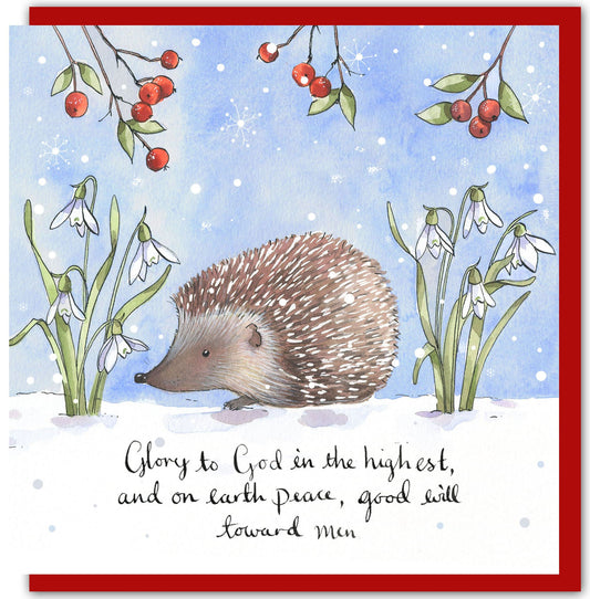 Hedgehog Pack of 5 Christmas Cards