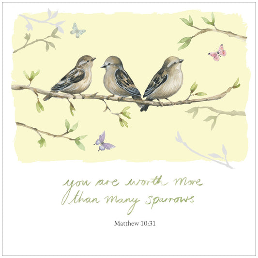 Sparrows Notecard