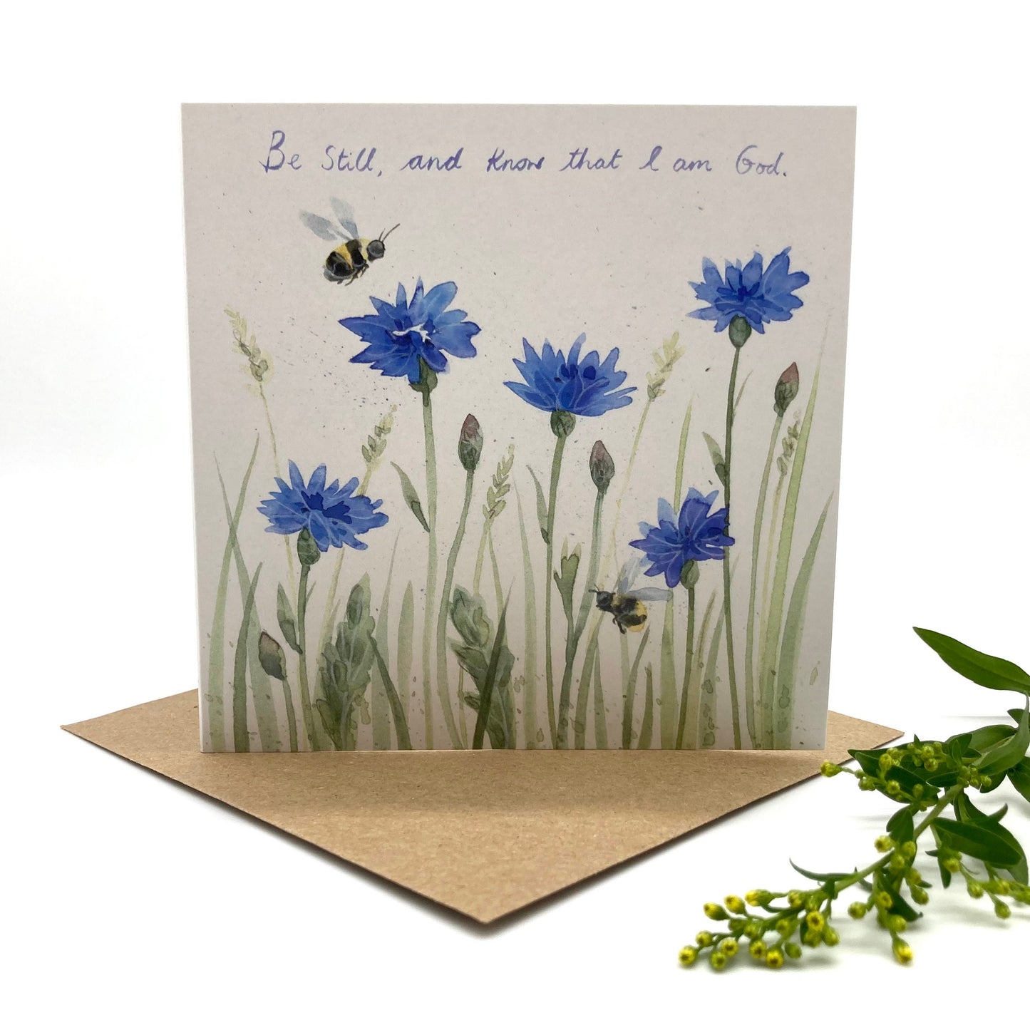 Cornflower Meadow