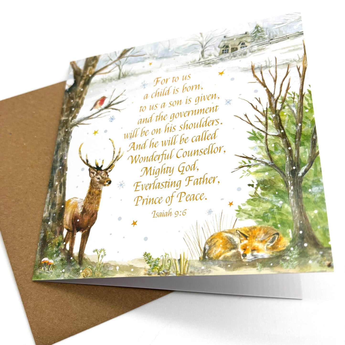 Winter Woodland  Pack of 5 Christmas Cards