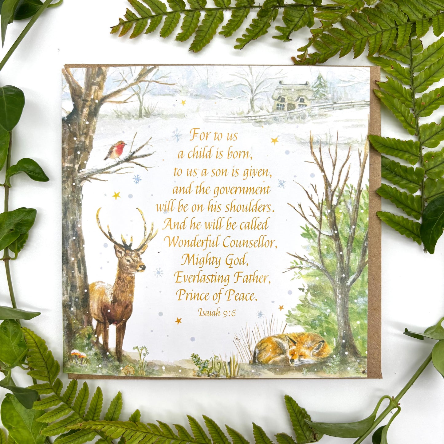 Winter Woodland  Pack of 5 Christmas Cards