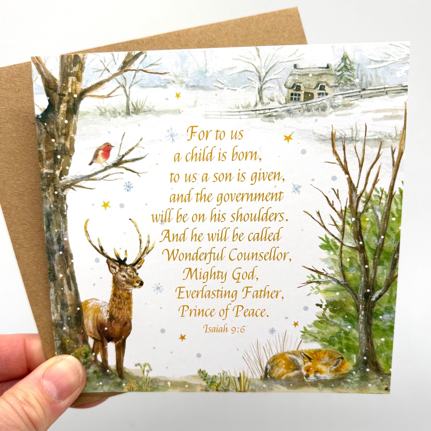 Winter Woodland  Pack of 5 Christmas Cards