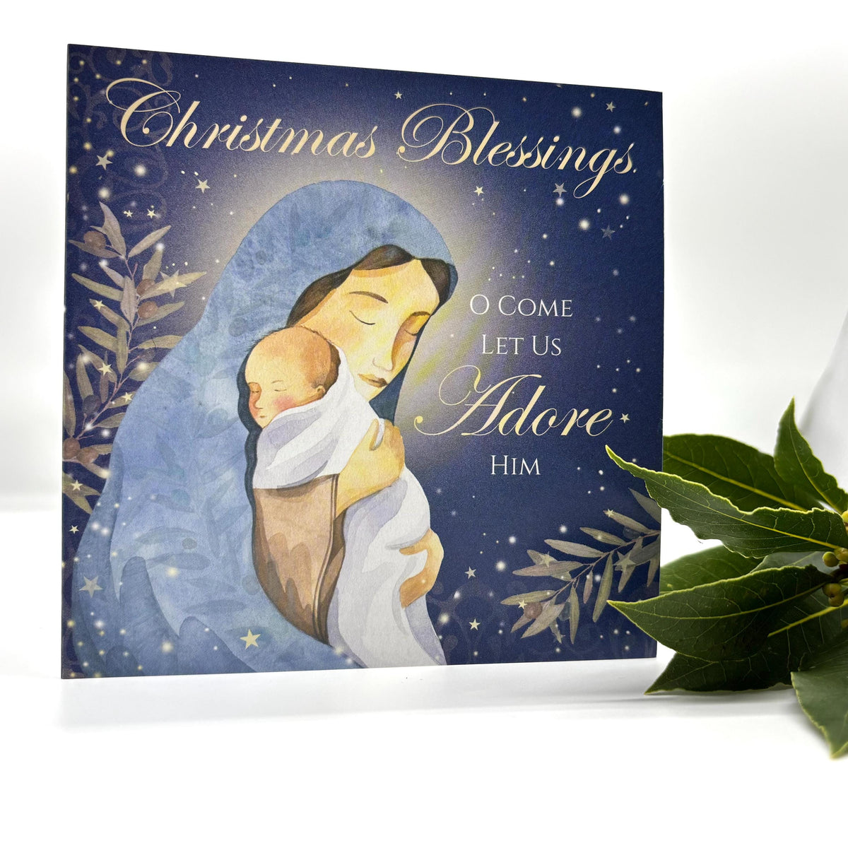 Mary and the Lord Pack of 5 Christmas Cards