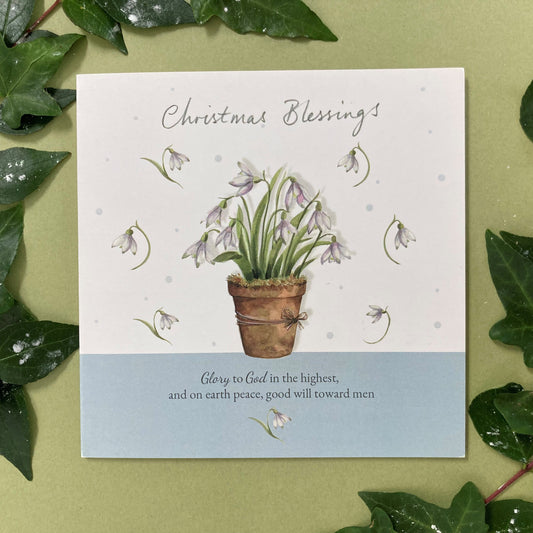 Snowdrop Blessings Pack of 5 Christmas Cards