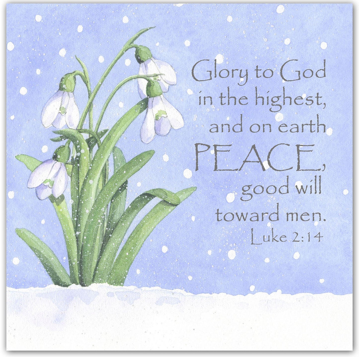 Snowdrops Pack of 5 Christmas Cards